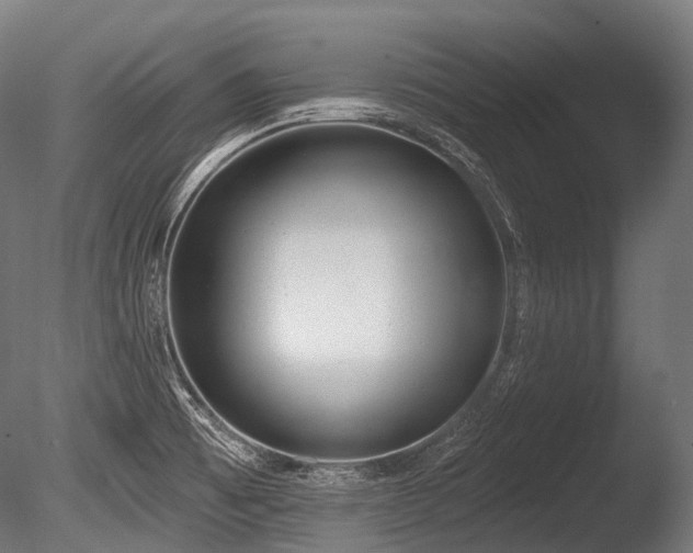 X0000086001473200703231132