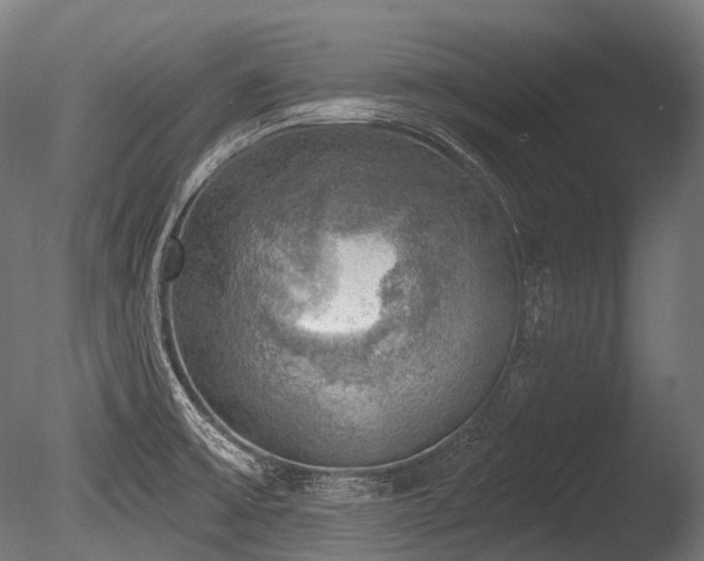 X0000086001475200703231132