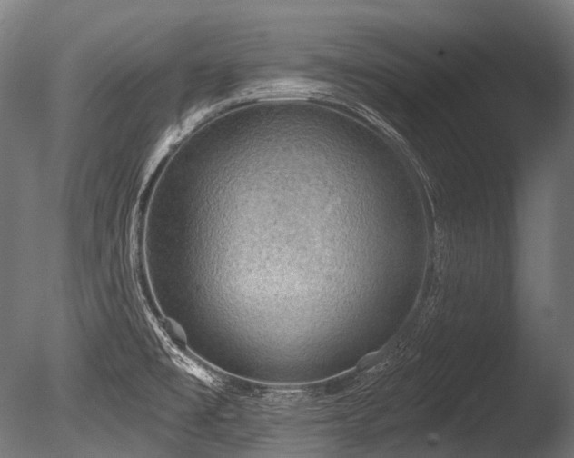 X0000086001477200703231132
