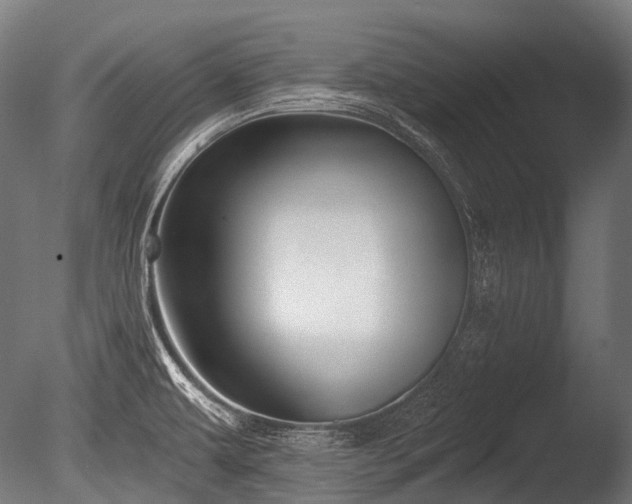 X0000086001479200703231132
