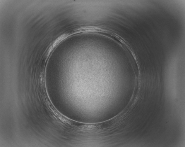 X0000086001481200703231132