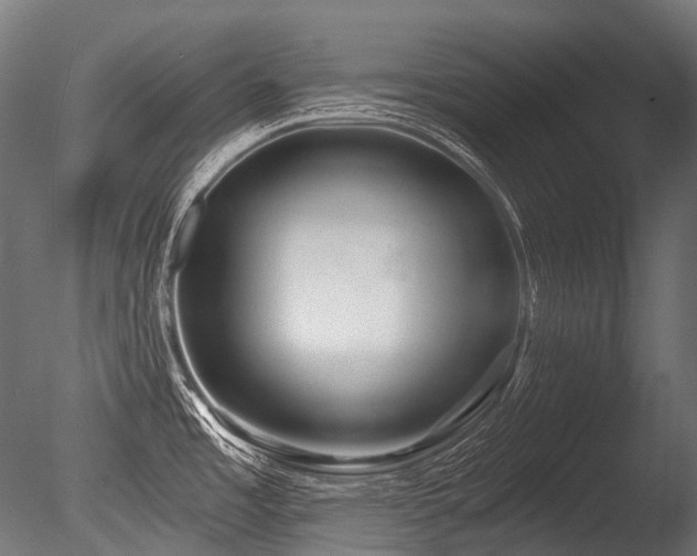 X0000086001485200703231132