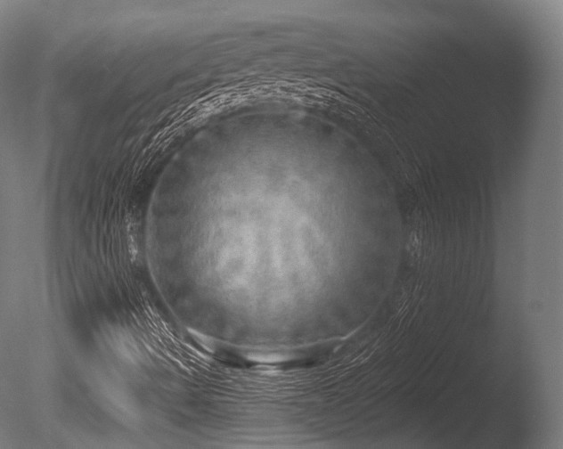 X0000086001490200703231131