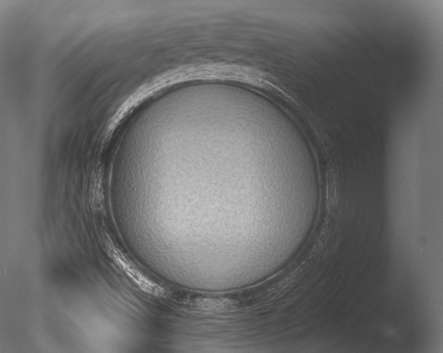 X0000086001498200703231131