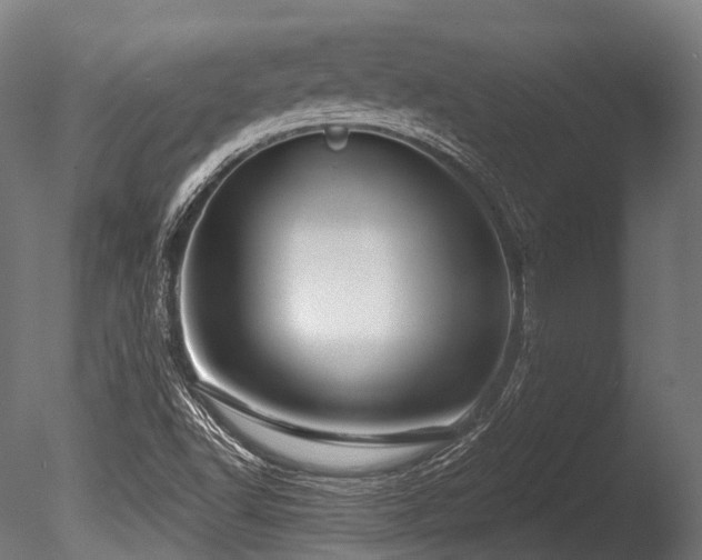 X0000086001502200703231131