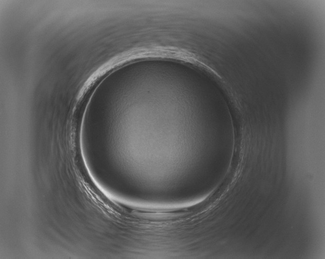 X0000086001506200703231131