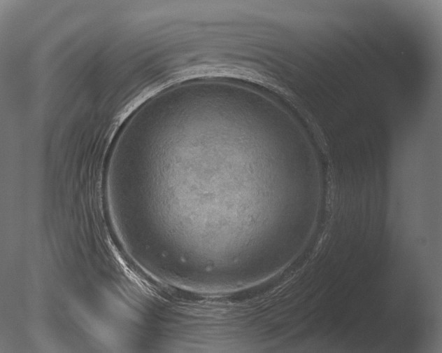 X0000086001513200703231131