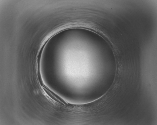 X0000086001516200703231131