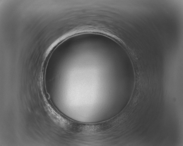 X0000086001518200703231131