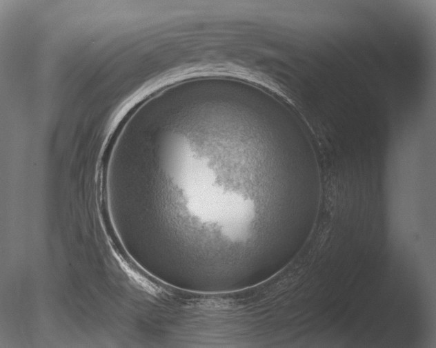X0000086001519200703231131