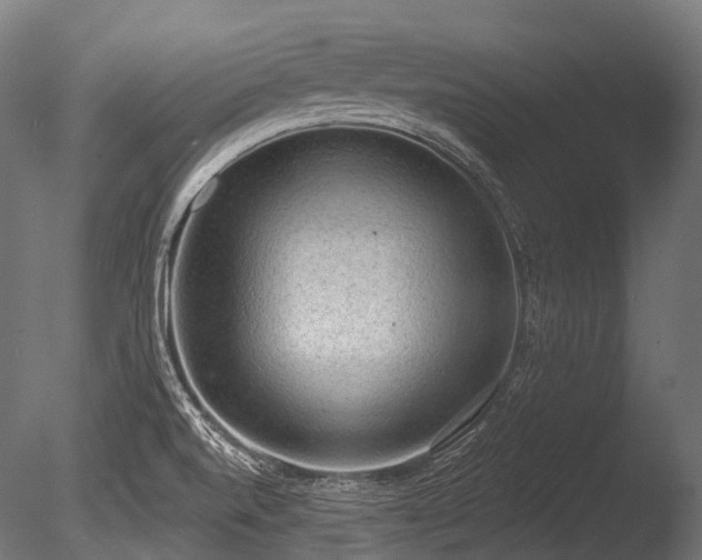 X0000086001520200703231131