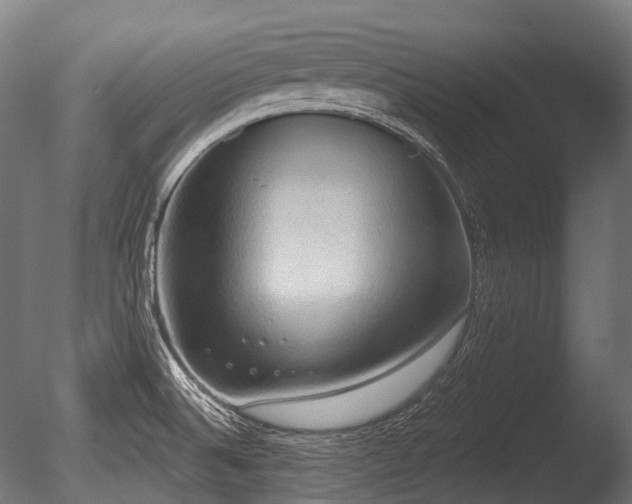 X0000086001524200703231131
