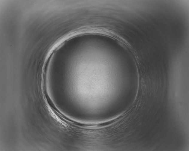 X0000086001528200703231131