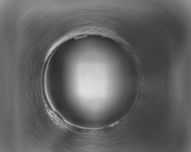 X0000086001530200703231131