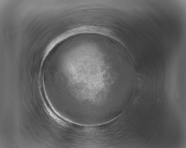 X0000086001531200703231131