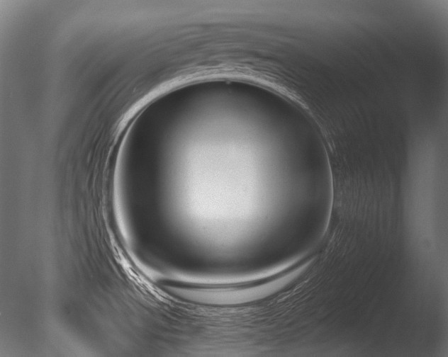 X0000086001534200703231131