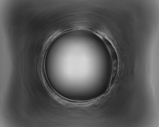 X0000086000001200703300958