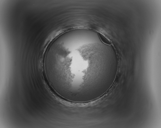 X0000086000002200703300958