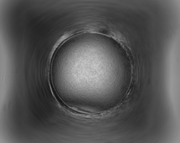 X0000086000003200703300958