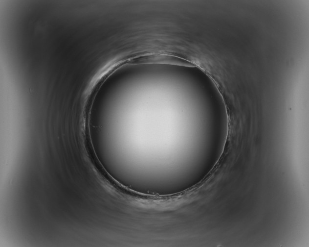 X0000086000005200703300958