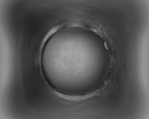 X0000086000006200703300958