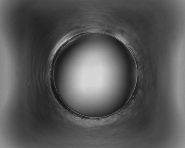 X0000086000007200703300958