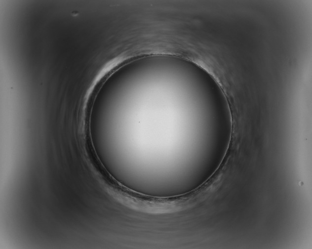 X0000086000008200703300958