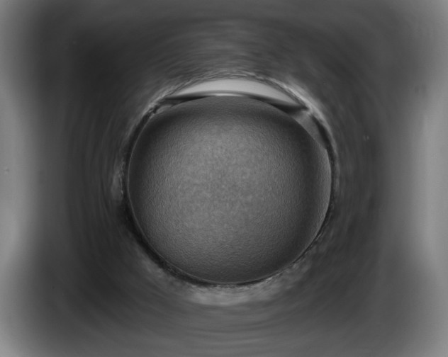 X0000086000009200703300958