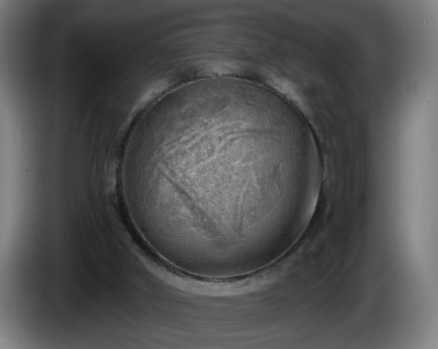 X0000086000010200703300958