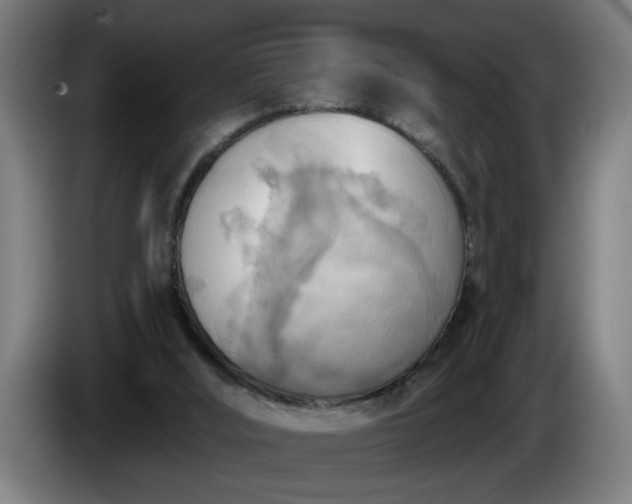 X0000086000012200703300958