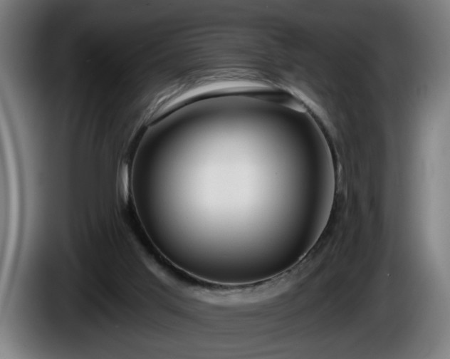 X0000086000013200703300958