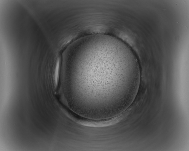 X0000086000017200703300958