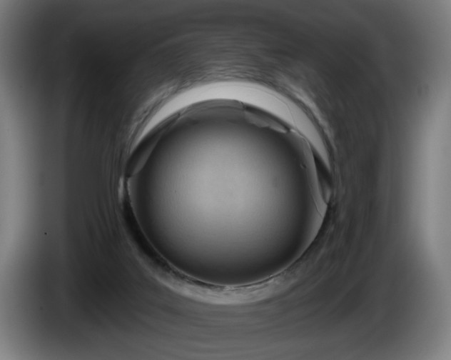 X0000086000019200703300958