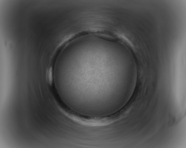 X0000086000020200703300958