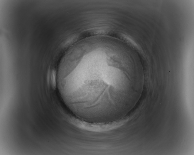 X0000086000022200703300958