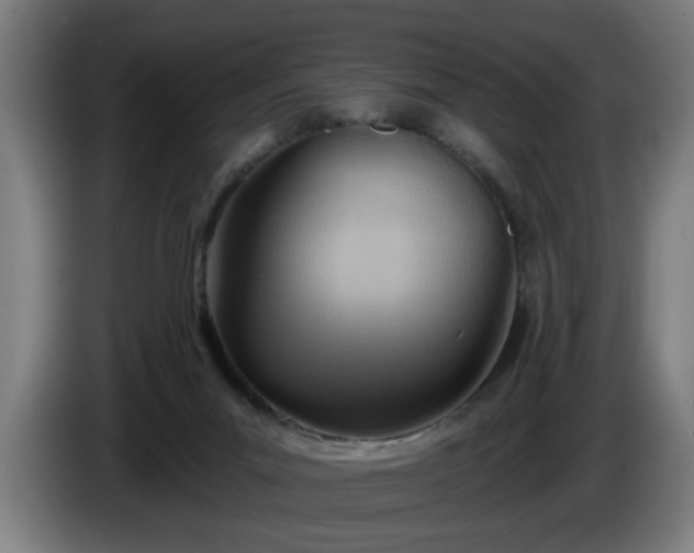 X0000086000023200703300958