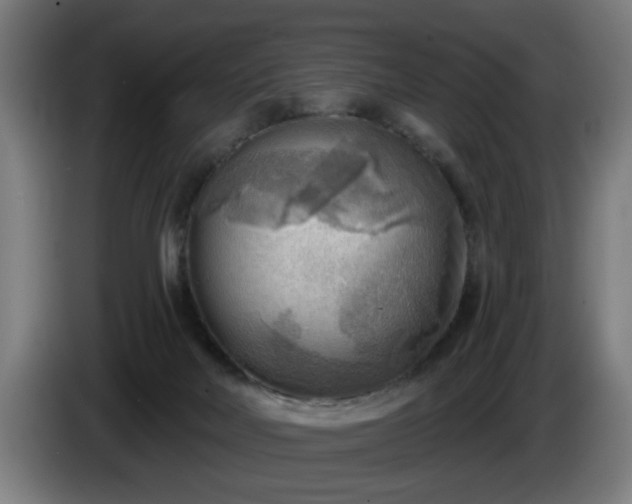 X0000086000026200703300958