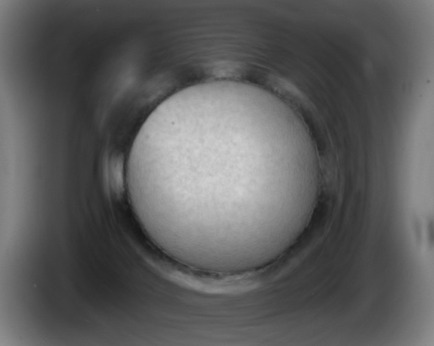 X0000086000028200703300958