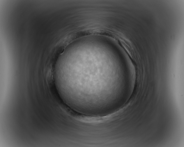 X0000086000029200703300958