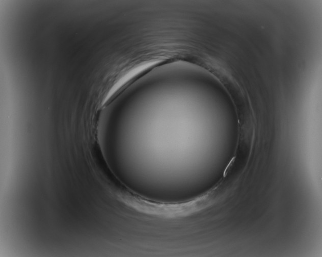 X0000086000031200703300958