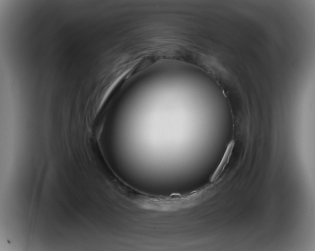 X0000086000033200703300958