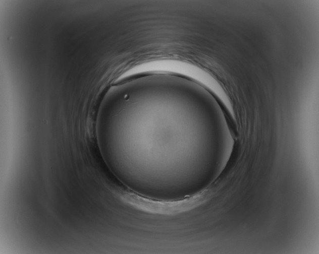 X0000086000035200703300957