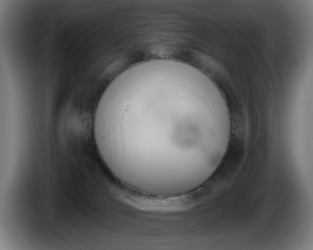 X0000086000036200703300957