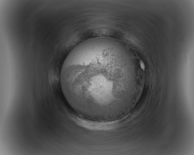 X0000086000040200703300957