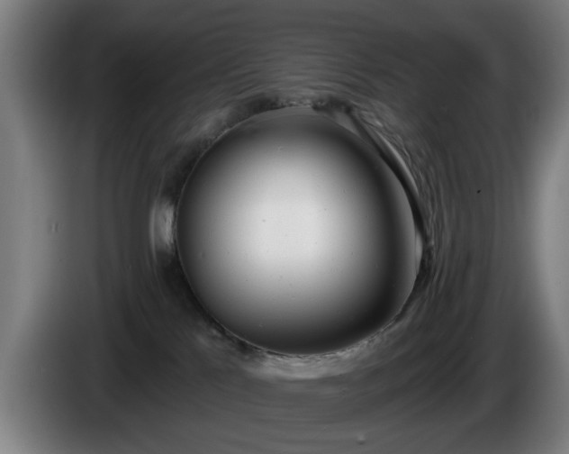 X0000086000041200703300957