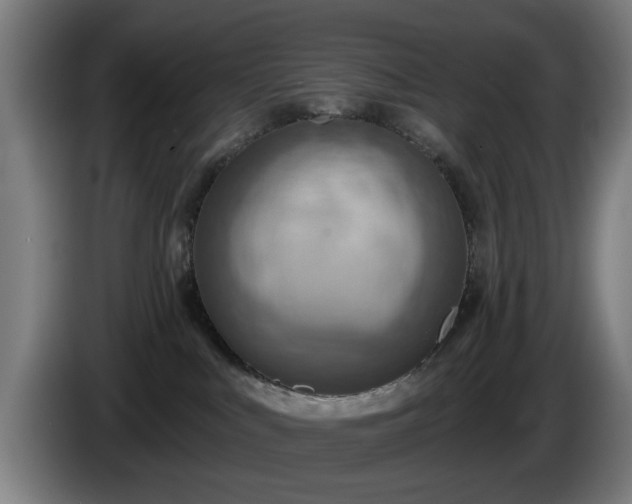 X0000086000043200703300957