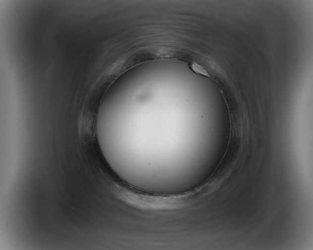 X0000086000044200703300957