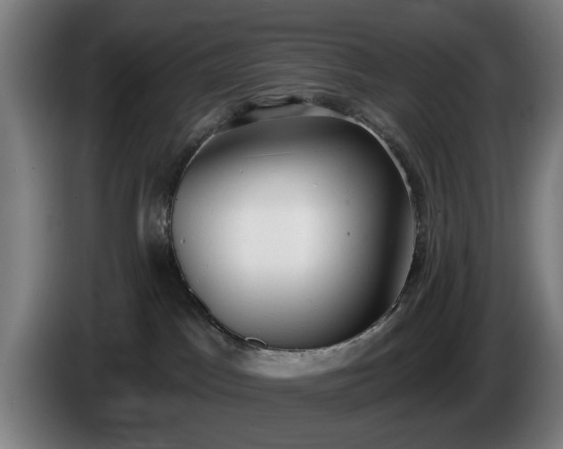 X0000086000045200703300957