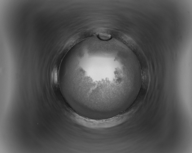 X0000086000046200703300957