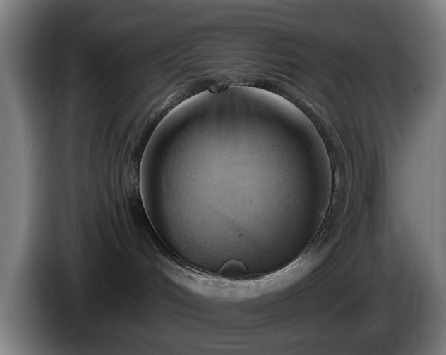 X0000086000048200703300957